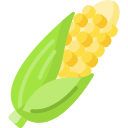 corn (1)